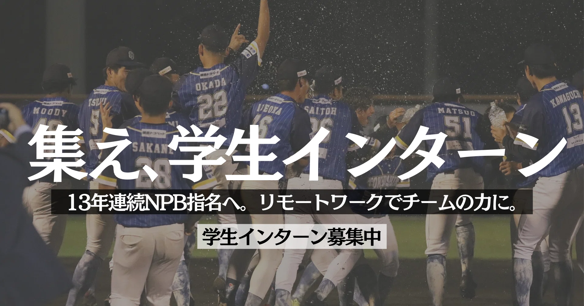 【徳島インディゴソックス】リモートインターン募集！